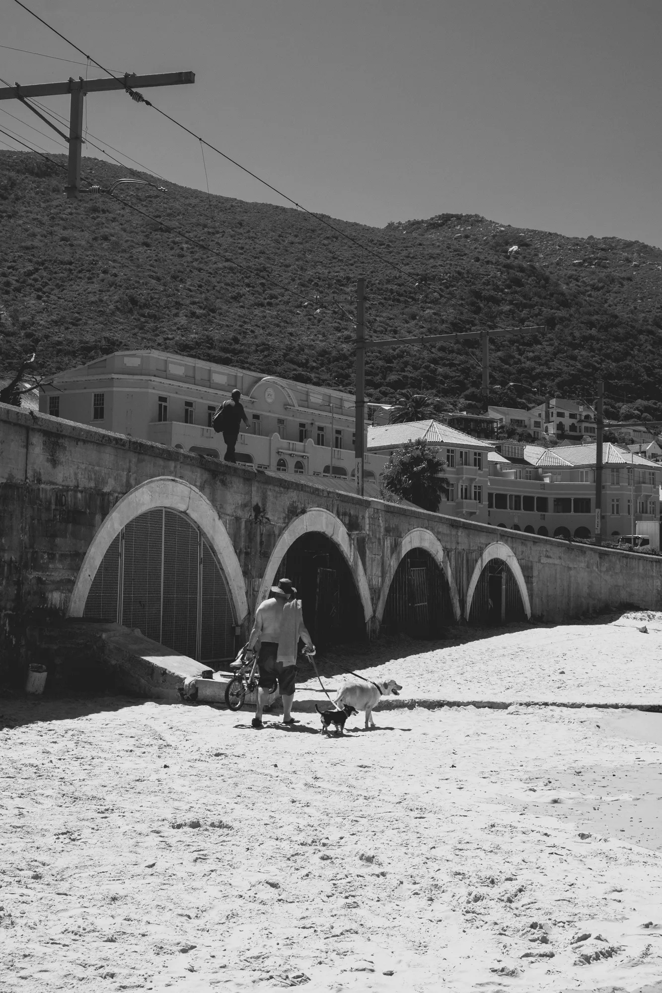 2022-02-14 - Cape Town - Man walking dogs on beach